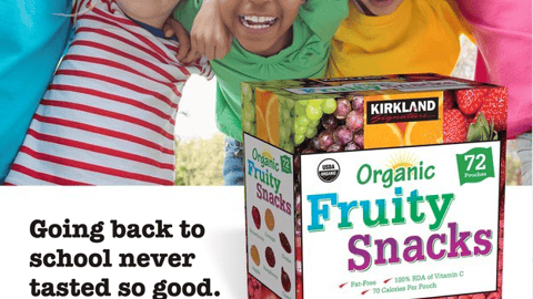 Kirkland 'Organic Fruity Snacks' Ad